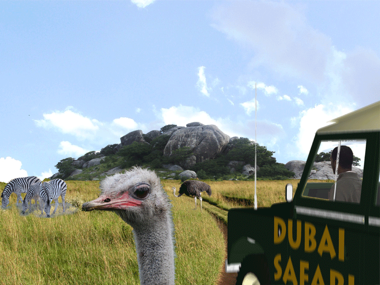Jeep safari drive-thru with kopje